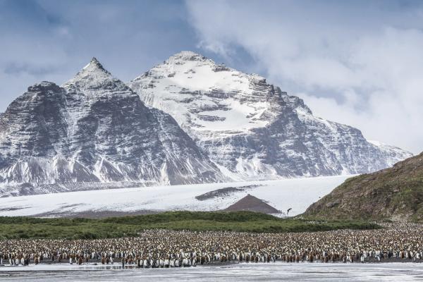 Антарктида, Горы, Пингвины, HD, 2K, 4K, 5K