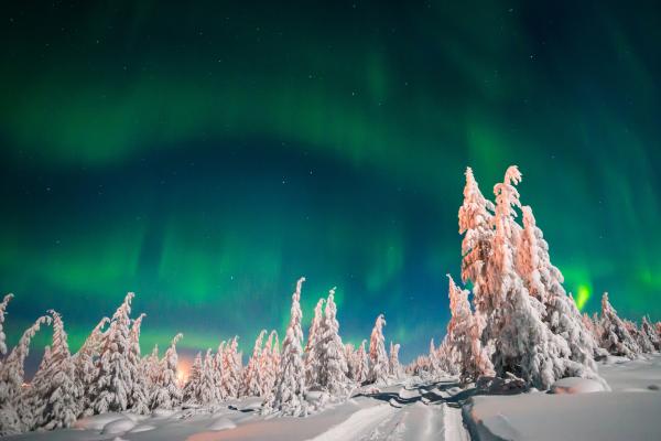 Северное Сияние, Зимний Лес, Снег, HD, 2K, 4K