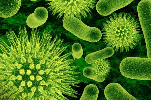 Бактерии, Вирус, Зеленый, Микробные, HD, 2K, 4K