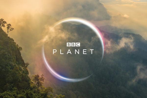 Bbc Planet, Forest, HD, 2K, 4K