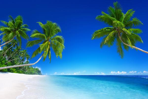 Пляж, Тропический, Солнечный, Красивый, HD, 2K, 4K, 5K