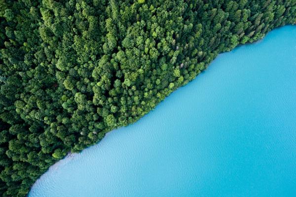 Голубое Озеро, Густой Лес, Деревья, HD, 2K