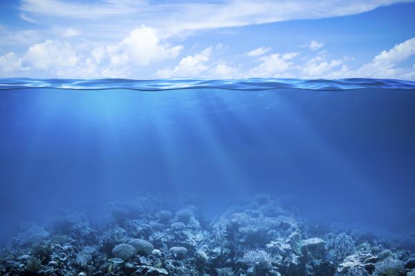 Коралловый Риф, Под Водой, Под Водой, HD, 2K, 4K