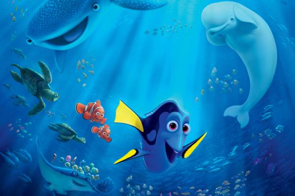 В Поисках Дори, 2016 Фильмы, Анимация, Pixar, HD, 2K, 4K
