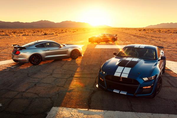 Ford Mustang Shelby Gt500, 2020 Автомобили, Детройтский Автосалон 2019, HD, 2K, 4K
