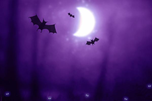 Хэллоуин Летучие Мыши, Луна, Фиолетовый, HD, 2K