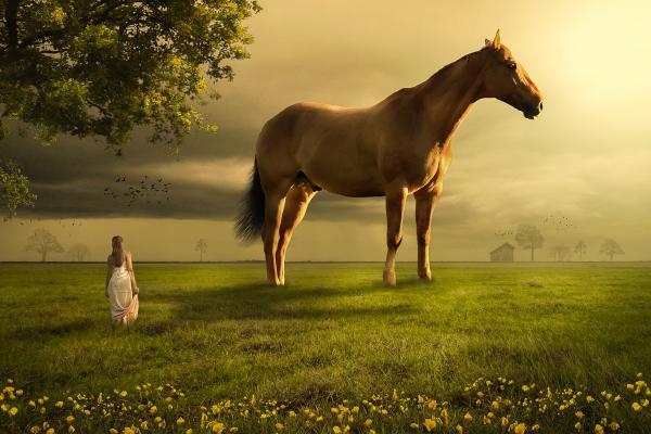Лошадь, Девочка-Подросток, Мечта, Пейзаж, Атмосфера, HD, 2K, 4K