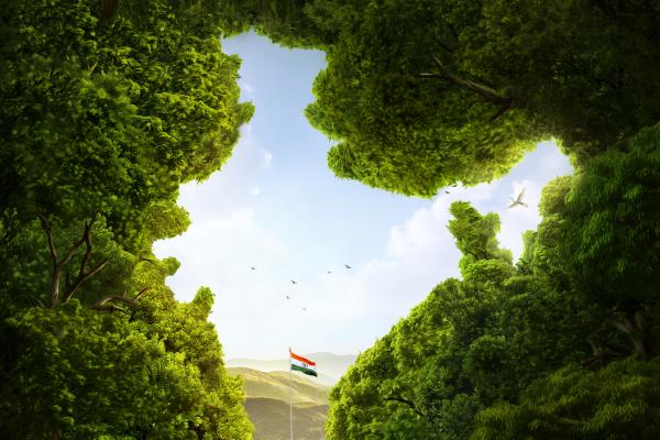 Индия, Флаг Индии, Деревья, Cgi, HD, 2K