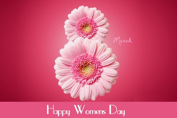 Международный Женский День, 8 Марта, Цветы, Розовый, Герберы, HD, 2K, 4K