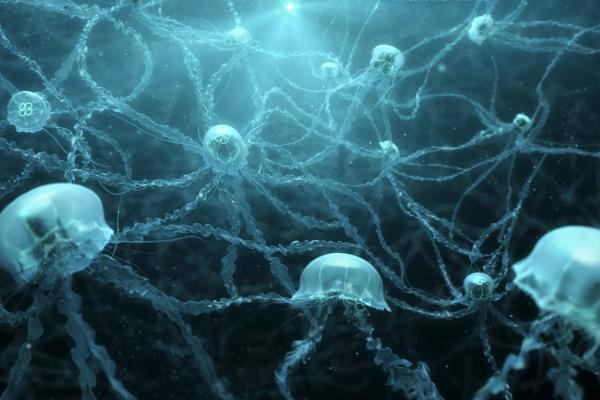 Медузы, Под Водой, Нейроны, HD, 2K
