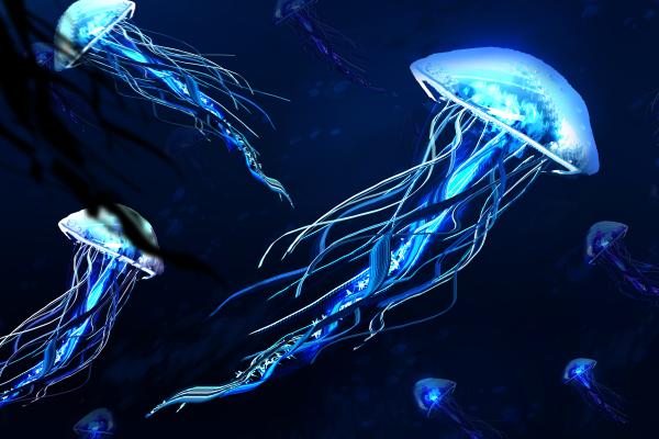 Медузы, Подводный, HD, 2K, 4K, 5K