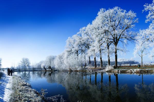 Озеро, Деревья, Зима, HD, 2K