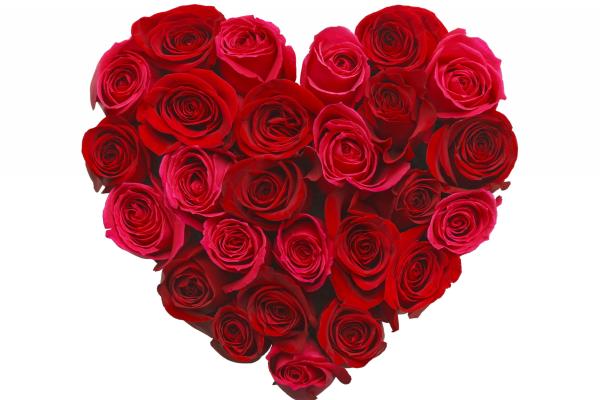 Love Image, Heart, Rose, Flowers, HD, 2K, 4K