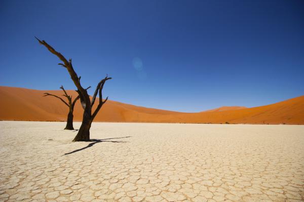 Пустыня Намиб, Прибрежная Пустыня, HD, 2K, 4K