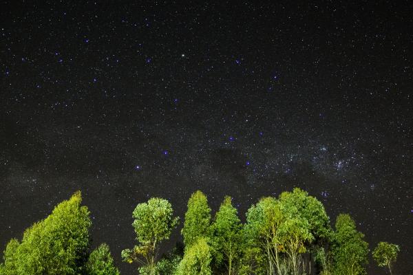 Ночь, Звезды, Небо, Деревья, HD, 2K, 4K, 5K