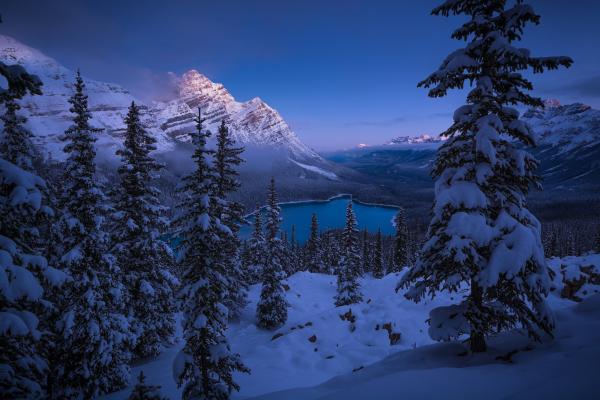 Озеро Пейто, Лед, Зима, Национальный Парк Банф, Канадские Скалистые Горы, HD, 2K, 4K