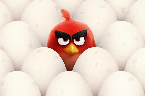 Красные, Angry Birds, HD