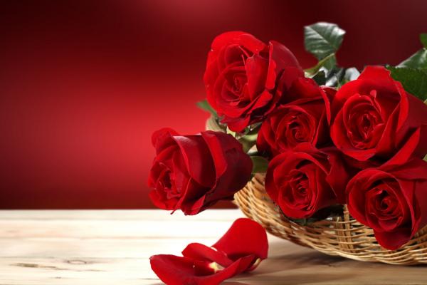 Розы, Букет Цветов, Красные, HD, 2K, 4K