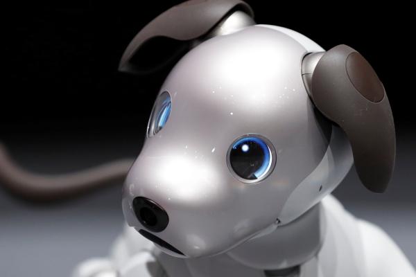 Sony Aibo, Робот, Собака, HD, 2K, 4K