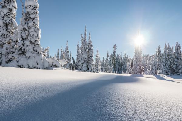 Провинциальный Парк Страткона, Гора Вашингтон, Зима, Сосны, Снег, 4К, HD, 2K, 4K