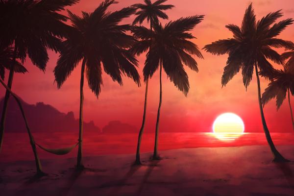 Закат, Тропический Пляж, Пальмы, Теплые, 4К, HD, 2K, 4K