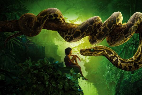 Книга Джунглей, Змея Каа, Маугли, Лучшие Фильмы 2016 Года, HD, 2K, 4K