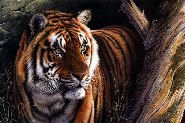 Тигр, Масляная Краска, HD, 2K