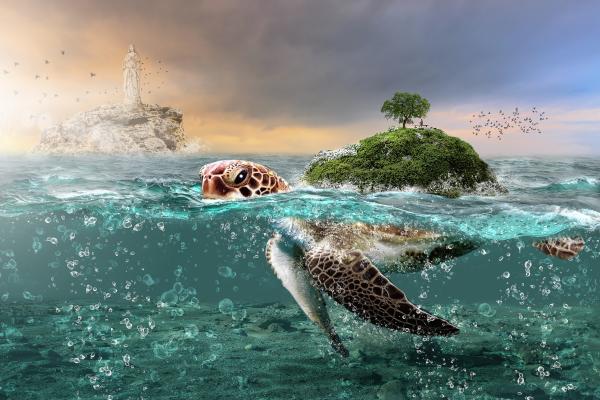 Tortoise, Остров, Скалы, Океан, Mystic, Под Водой, Пузыри, HD, 2K, 4K, 5K