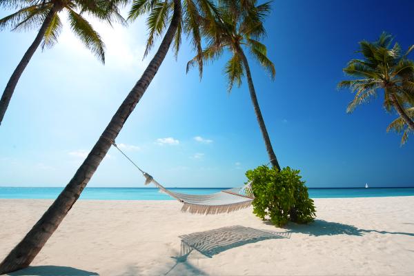 Тропический Пляж, Пляжные Курорты, Мальдивы, Пальмы, HD, 2K