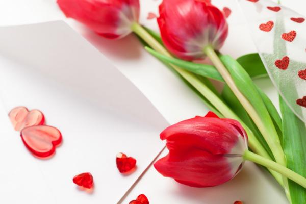 Тюльпан, Весна, Цветок, Красный, Сердце, HD, 2K, 4K
