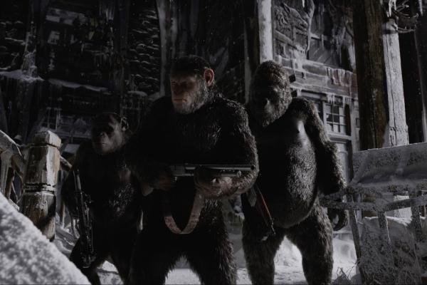 Война За Планету Обезьян, Gorilla, Snow, HD, 2K