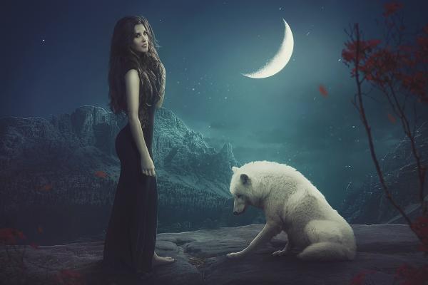 Белый Волк, Луна, Красивая Девушка, HD, 2K
