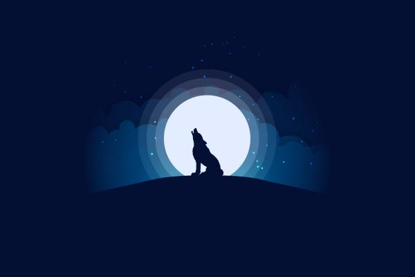 Волк, Луна, Силуэт, Иллюстрации, HD, 2K