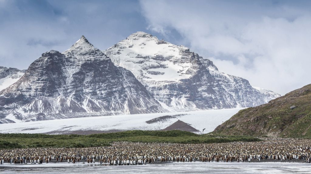 Антарктида, Горы, Пингвины, HD, 2K, 4K, 5K