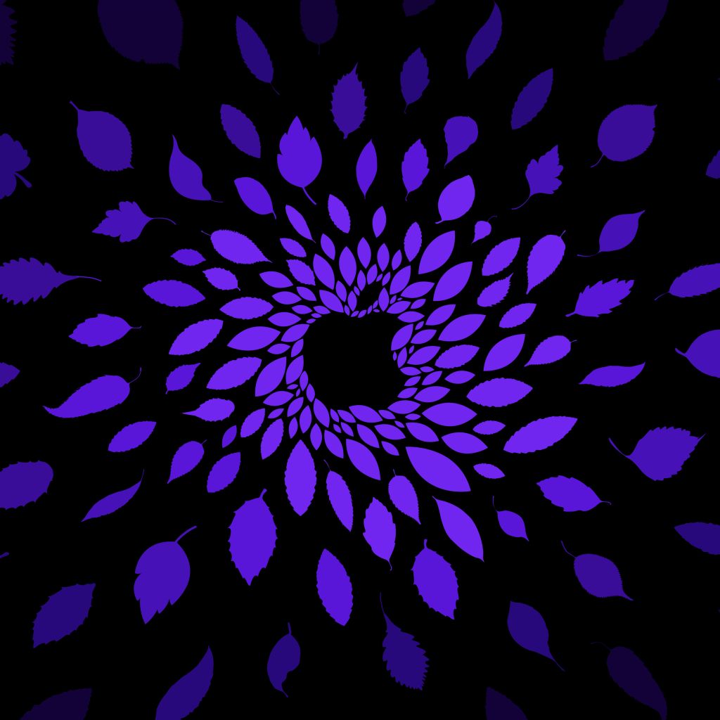 Яблоко, Фиолетовый, Темный Фон, Черный, HD, 2K