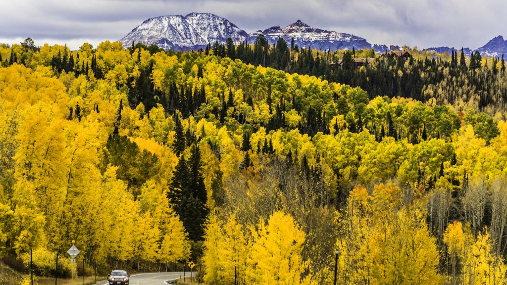 Осень, Лес, Деревья, Горы, Дорога, Колорадо, Сша, HD, 2K, 4K, 5K