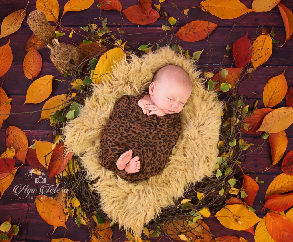 Милый Малыш, Спящий Малыш, Осенние Листья, Меховое Гнездо, HD, 2K