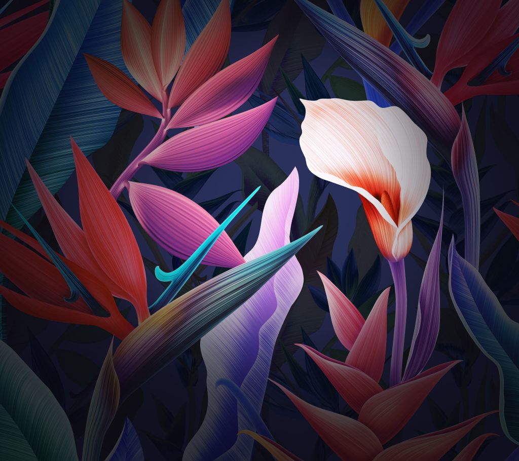 Цветы, Листья, Разноцветные, Huawei Mate 10, Сток, HD, 2K
