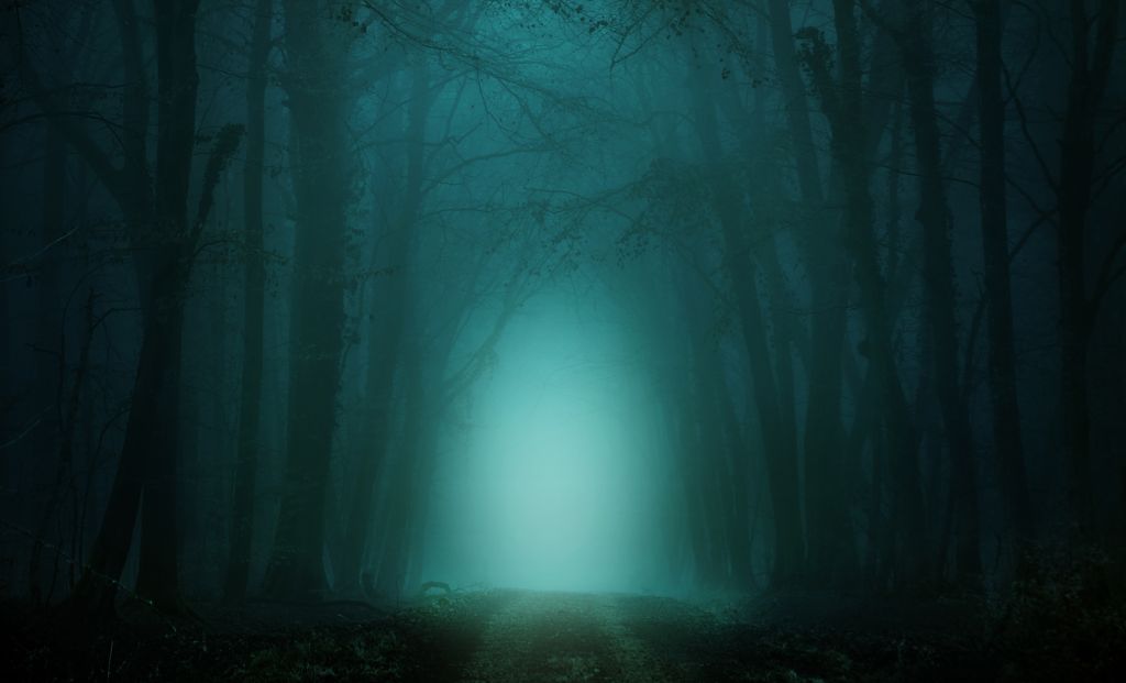 Лес, Туманный, Путь, Темный, Бирюзовый, HD, 2K, 4K, 5K