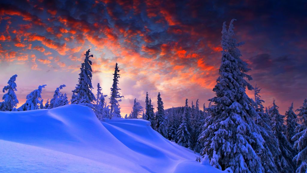 Лес, Снег, Зима, Восход, Облака, HD, 2K, 4K, 5K, 8K