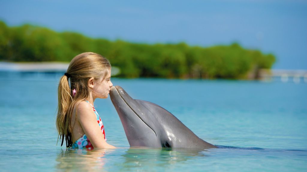 Девушка И Дельфин, Океан, Мальдивы, HD, 2K, 4K, 5K