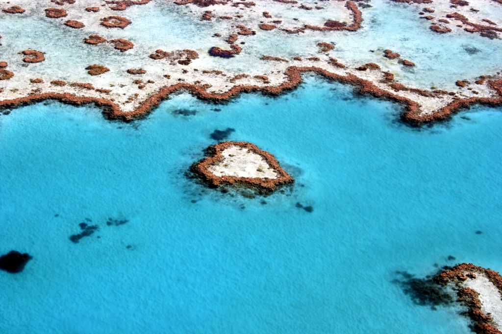 Большой Барьерный Риф, Коралловый Риф, Квинсленд, Австралия, HD, 2K