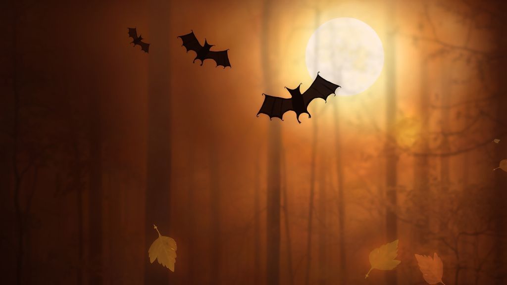 Ночь Хэллоуина, Луна, Летучие Мыши, HD, 2K
