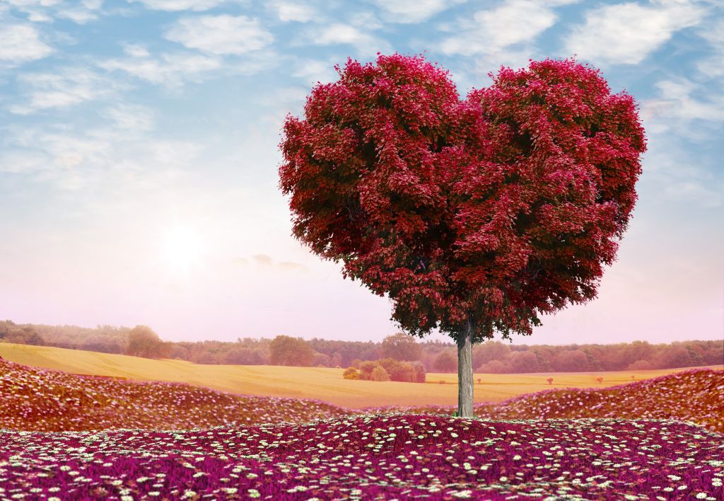 Влюбленное Сердце, Дерево, 4К, HD, 2K, 4K