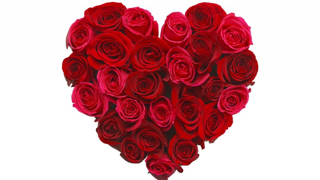 Love Image, Heart, Rose, Flowers, HD, 2K, 4K