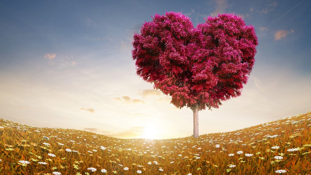 Love Image, Heart, Tree, HD, 2K, 4K