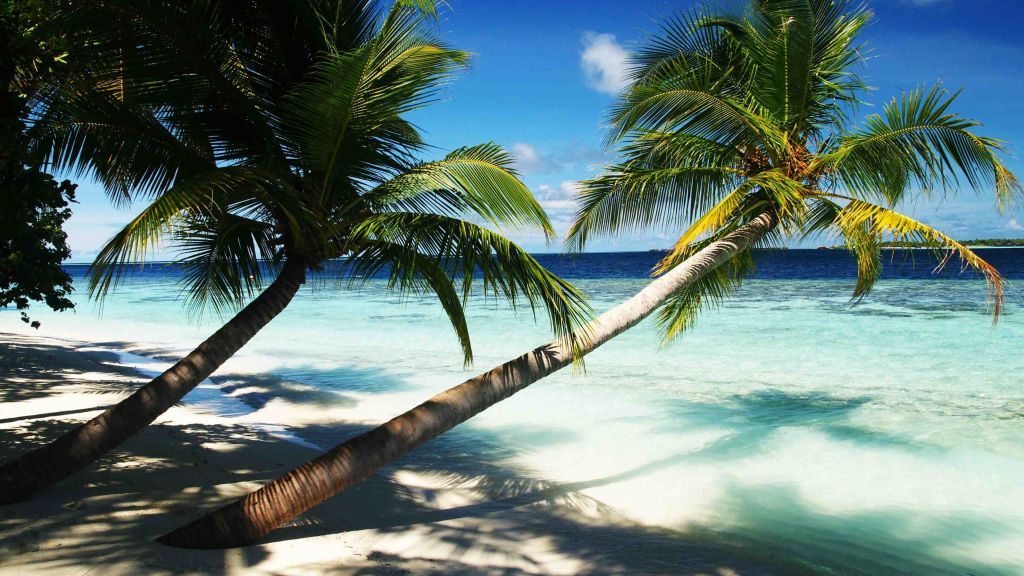 Мальдивы, Праздники, Пальмы, Рай, Отпуск, Путешествие, Отель, Остров, Океан, Бунгало, Пляж, Небо, HD, 2K, 4K