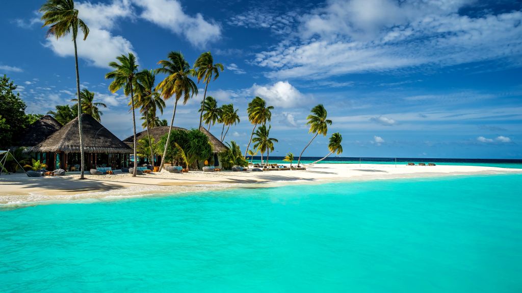Мальдивы, Индийский Океан, Лучшие Пляжи Мира Пальмы, Берег, Небо, HD, 2K, 4K, 5K