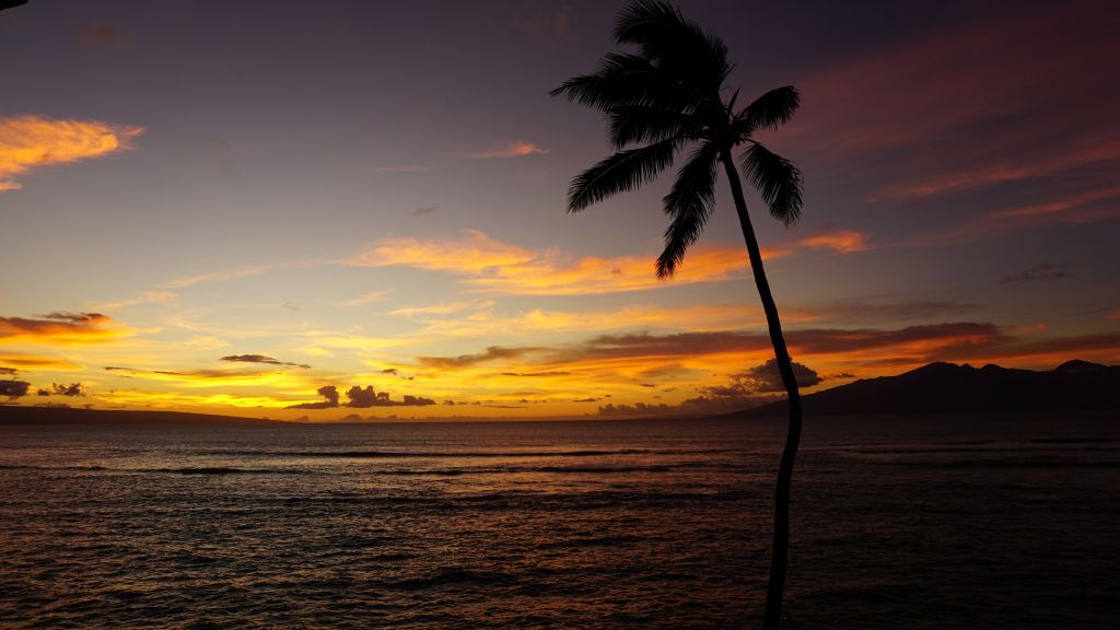Мауи, Гавайи, Ocean, Palm, Sunset, HD, 2K, 4K, 5K