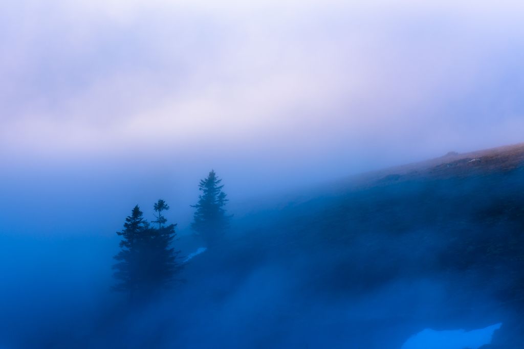 Туман, Утренний Туман, Синий, Туманный, HD, 2K